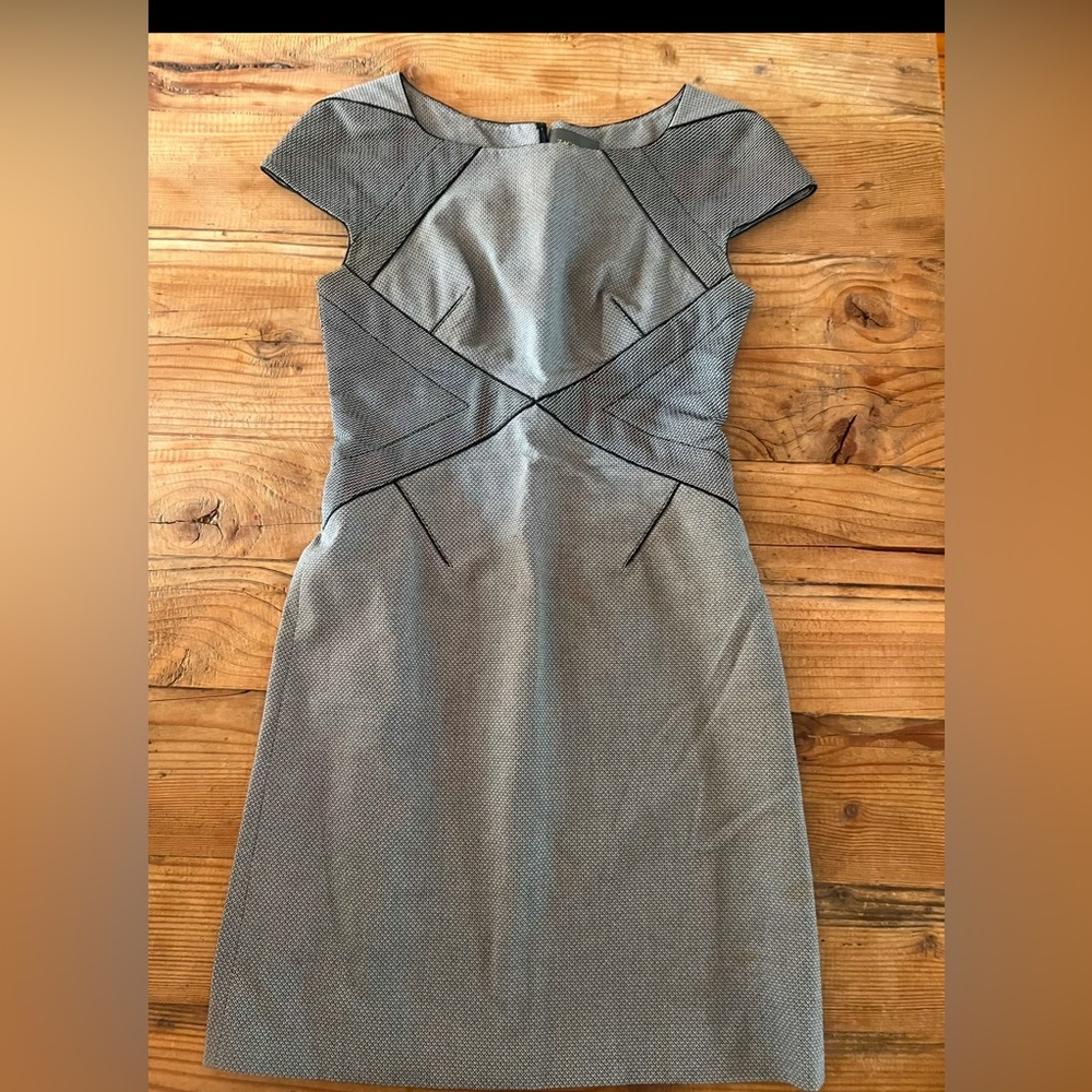 Zac Posen Dress Size 4 Gray